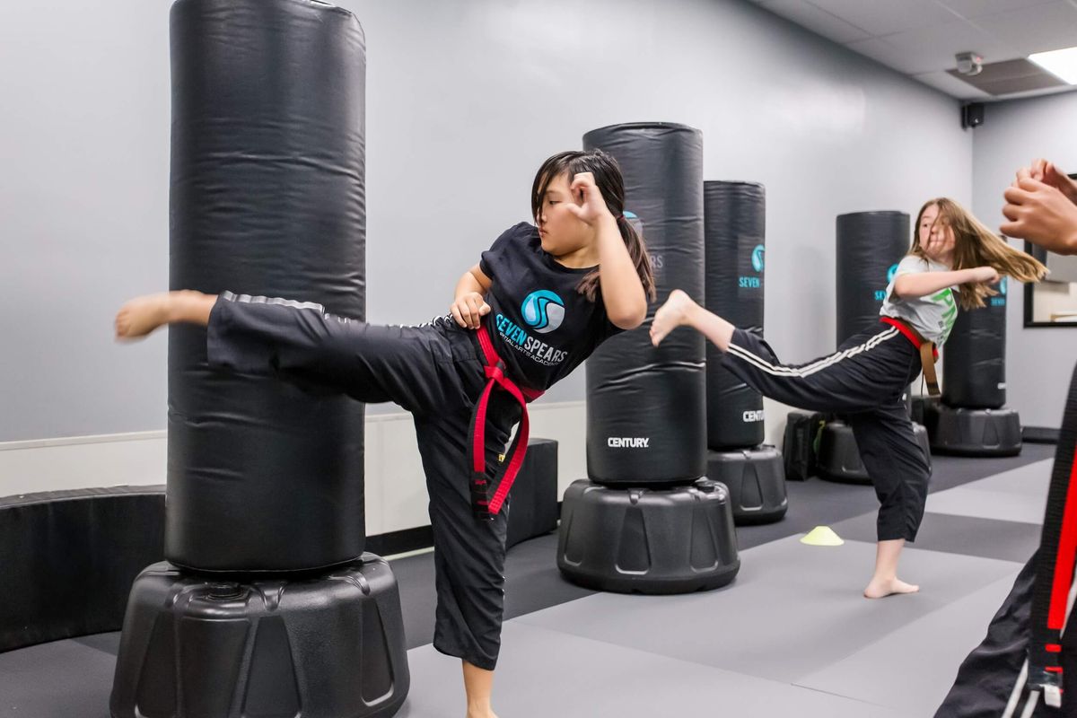 7 Spears Martial Arts Academy photo 2