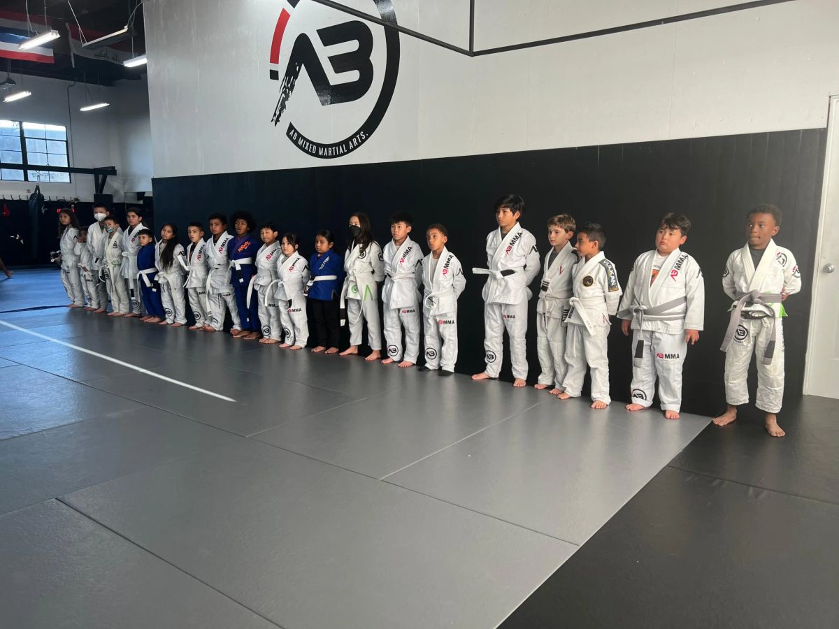 AB Mixed Martial Arts Academy photo 2