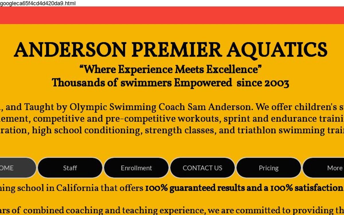 Anderson Private Swim lessons LCC
