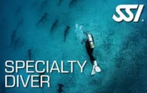 Aquatic Sports photo 5
