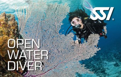 Aquatic Sports photo 3