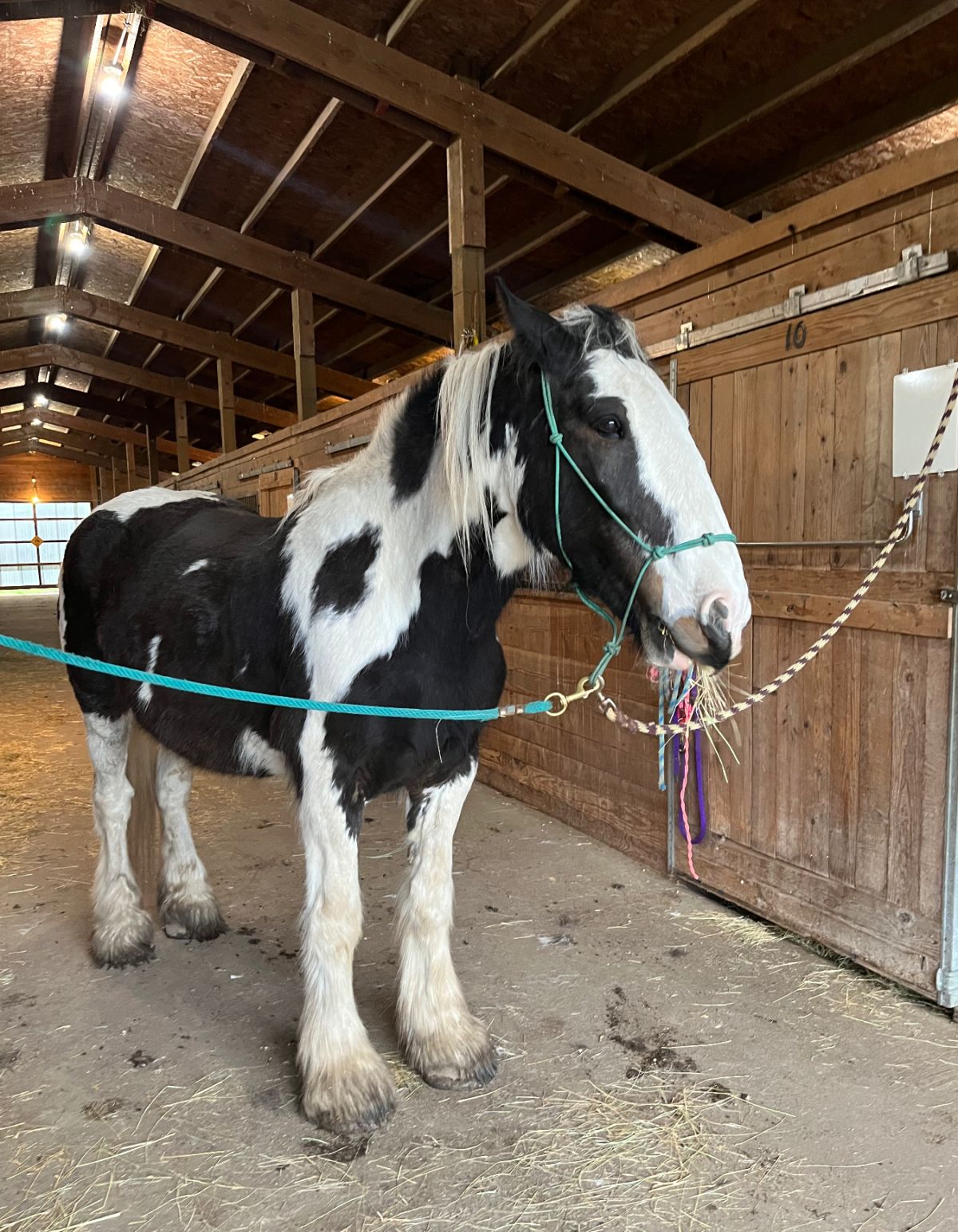 Atlas Riding School