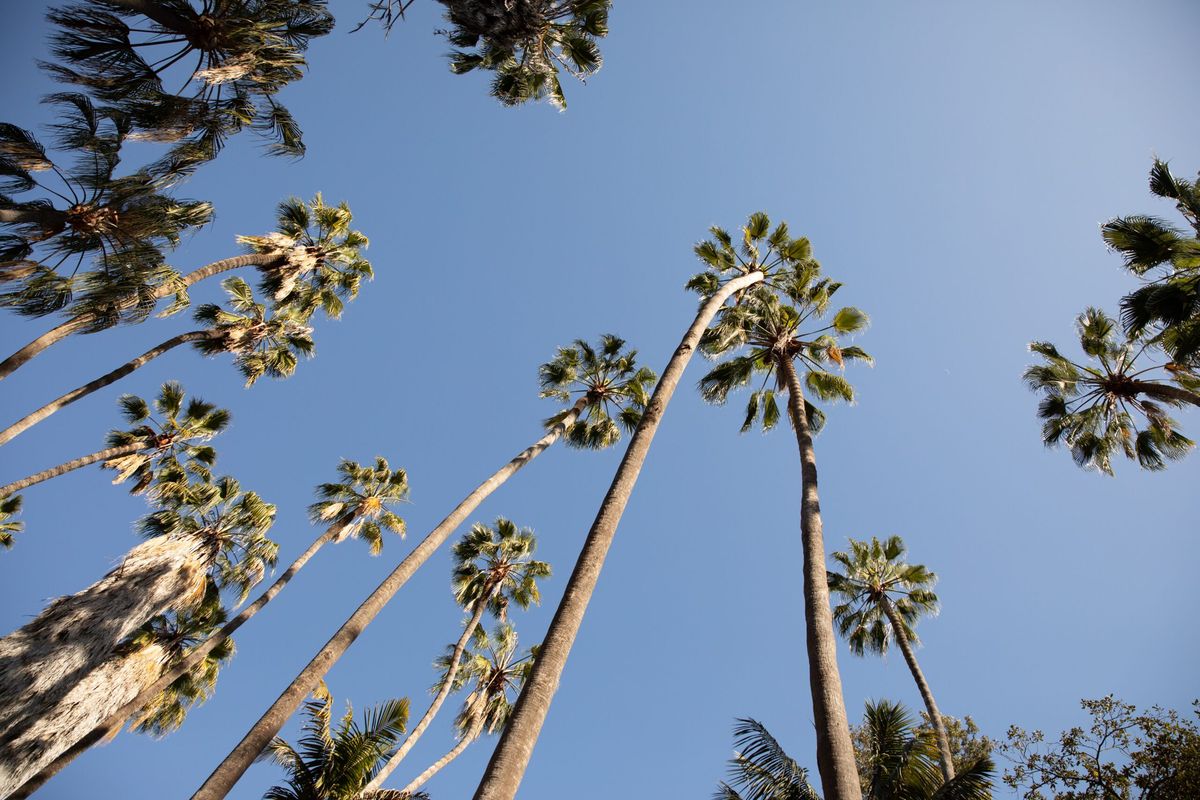 Balboa Park Youth Programs