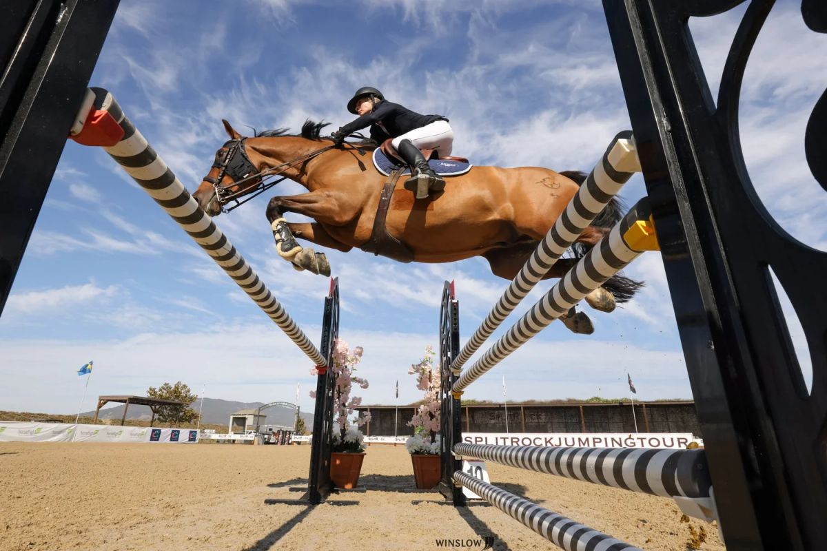 Bayview Showjumping photo 2