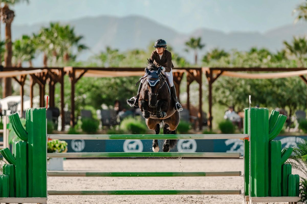 Bayview Showjumping photo 3