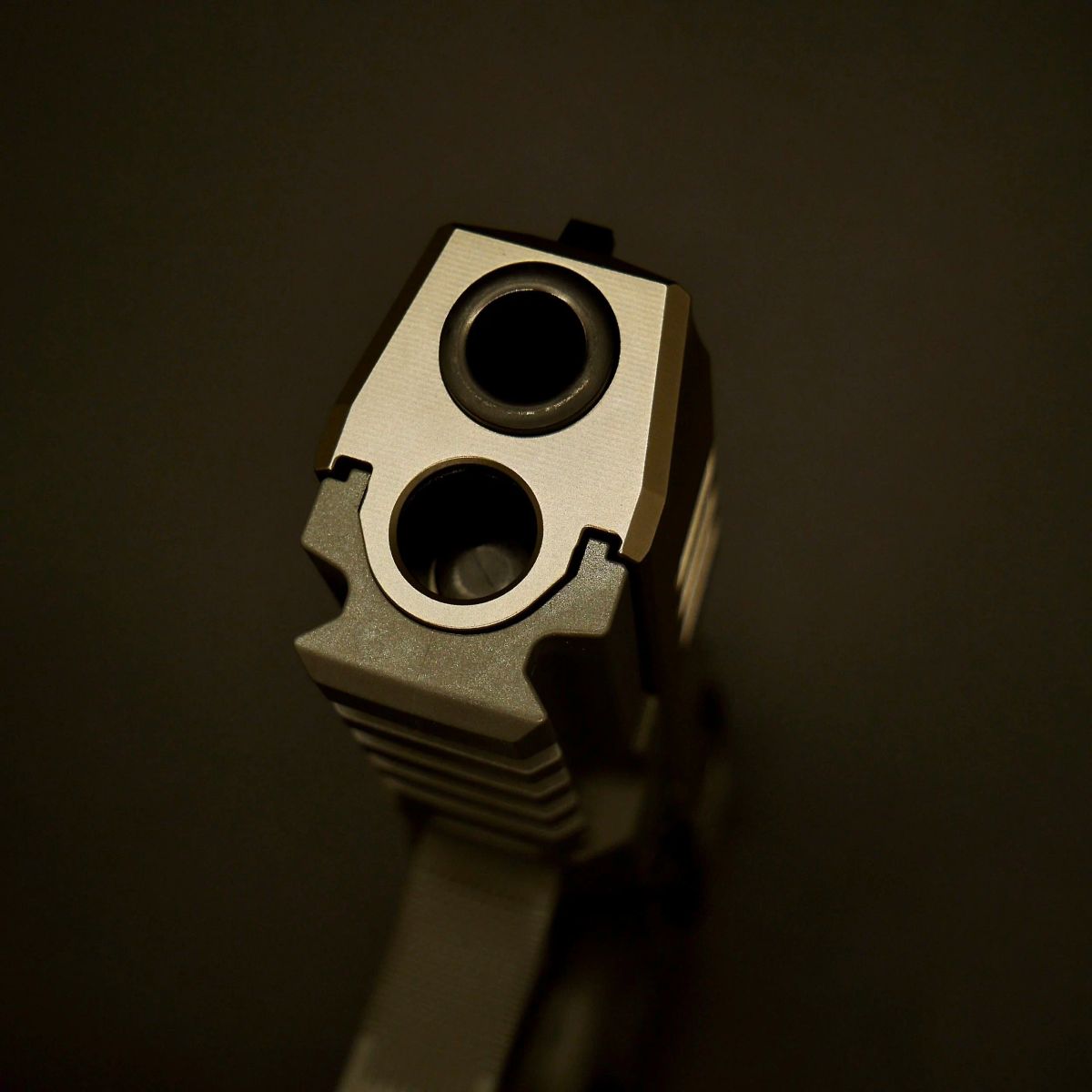 Bellevue Indoor Range photo 3