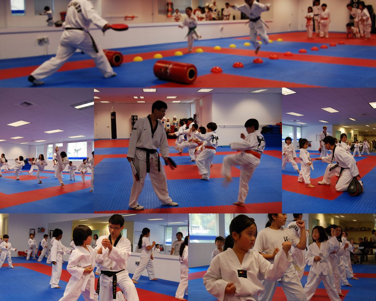 Bellevue Taekwondo/TKD for Kids photo 1