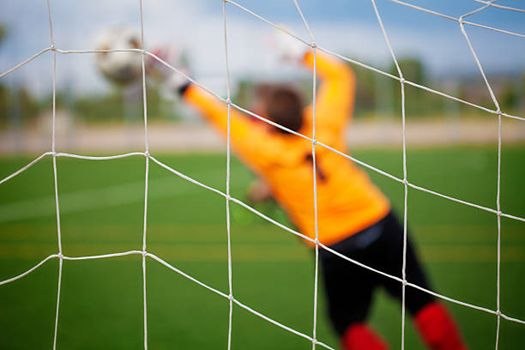 Beverly Hills Adult Sports Leagues photo 2