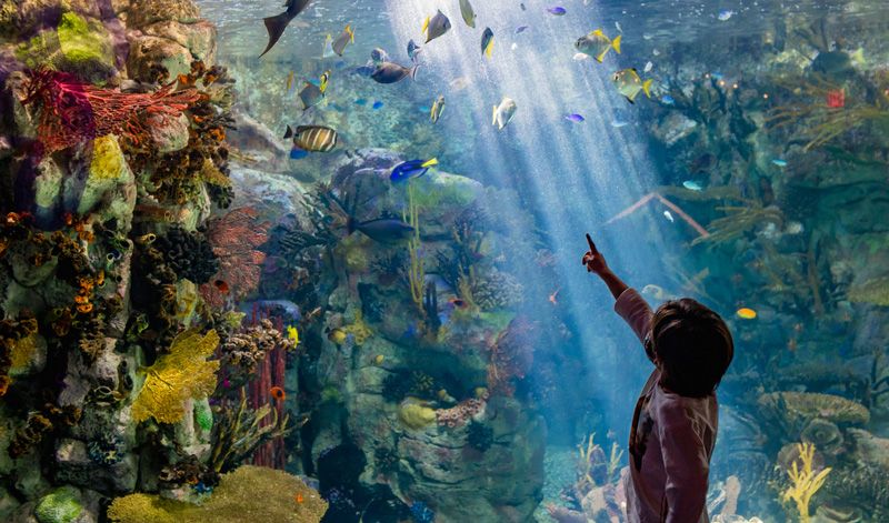 Birch Aquarium at Scripps