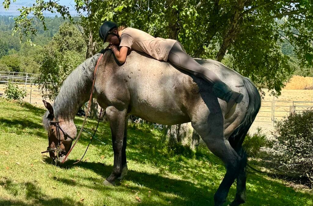 BOK Ranch photo 1