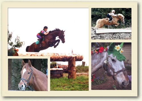 Brackenhollow Stables