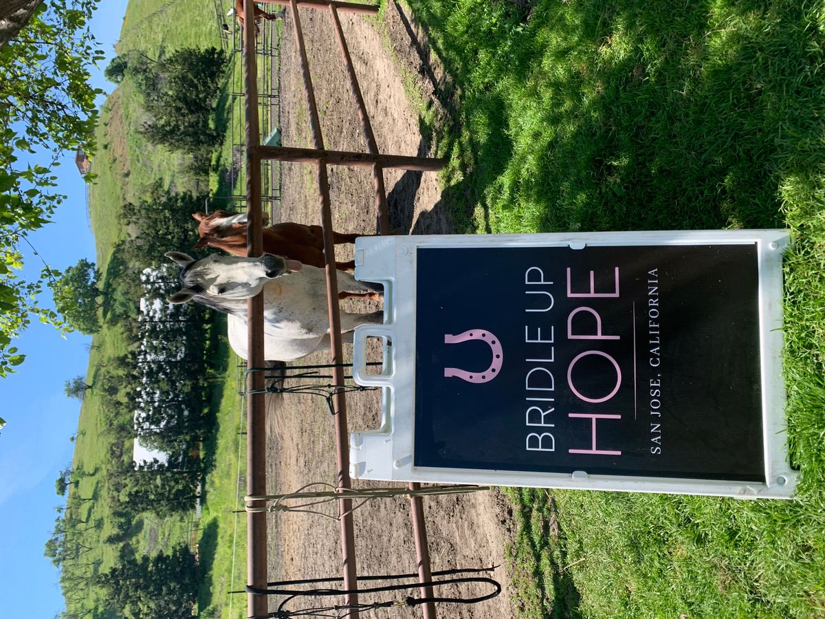 Bridle Up Hope San José photo 1
