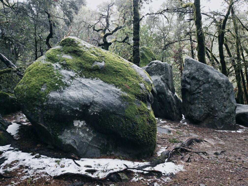 Castle Rock Climbing School photo 4