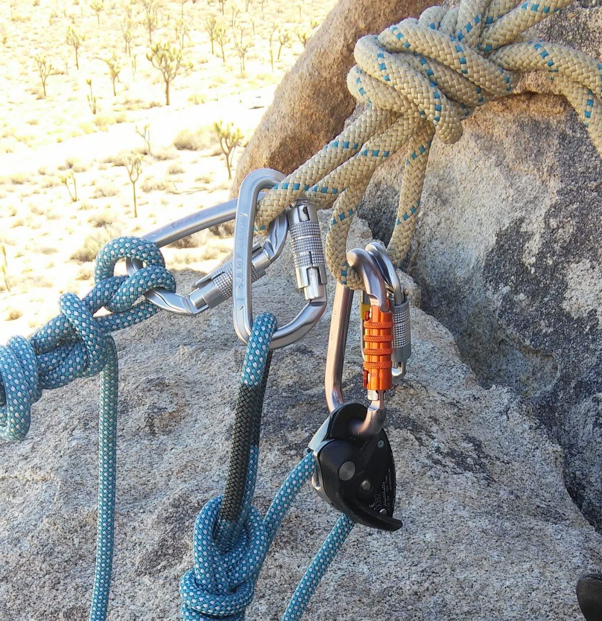 Castle Rock Climbing School photo 5