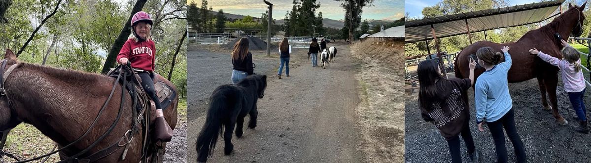 Chaparral Ranch