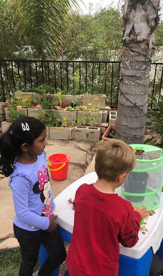 Charlotte's Web Learning Center & Day care photo 1