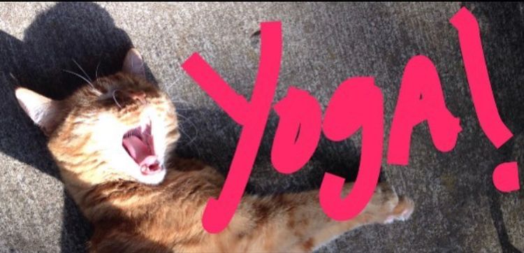 Conniyoga