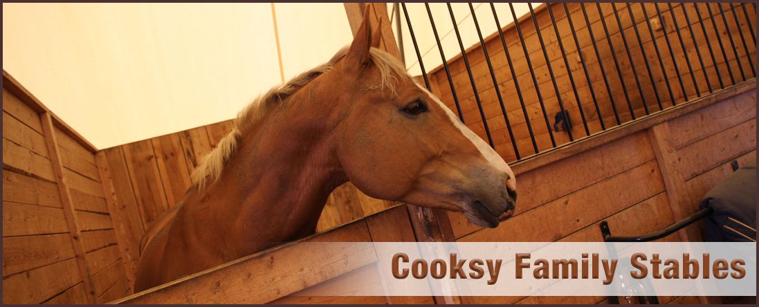 Cooksy Family Stables