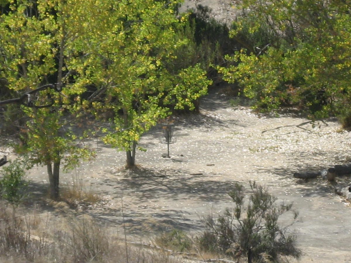 Coyote Creek Disc Golf Course photo 1