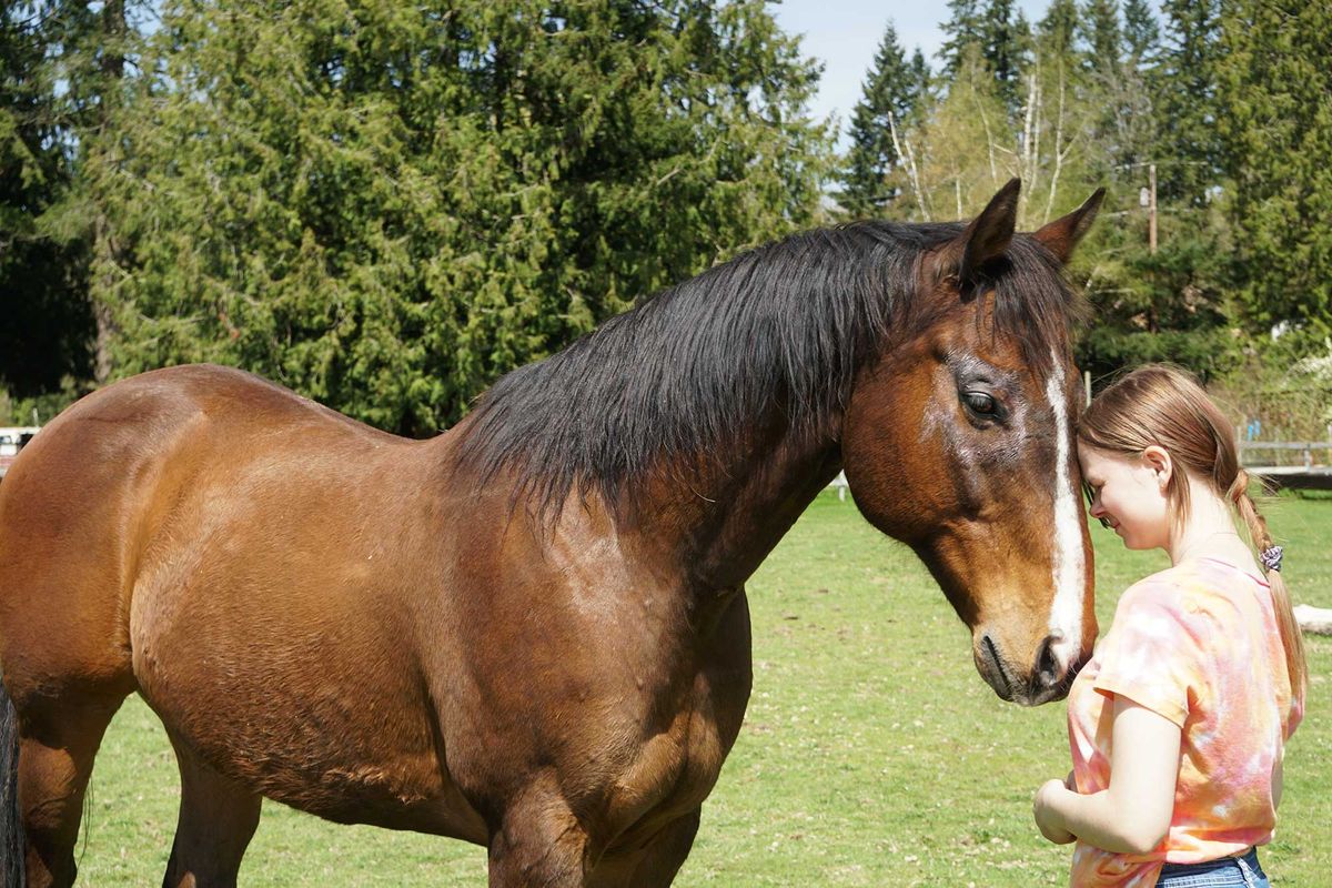 Crazy Horse Natural Horsemanship
