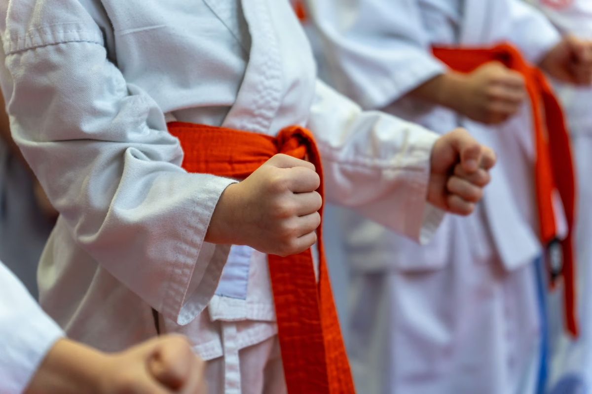 Crescent Moon Karate photo 1