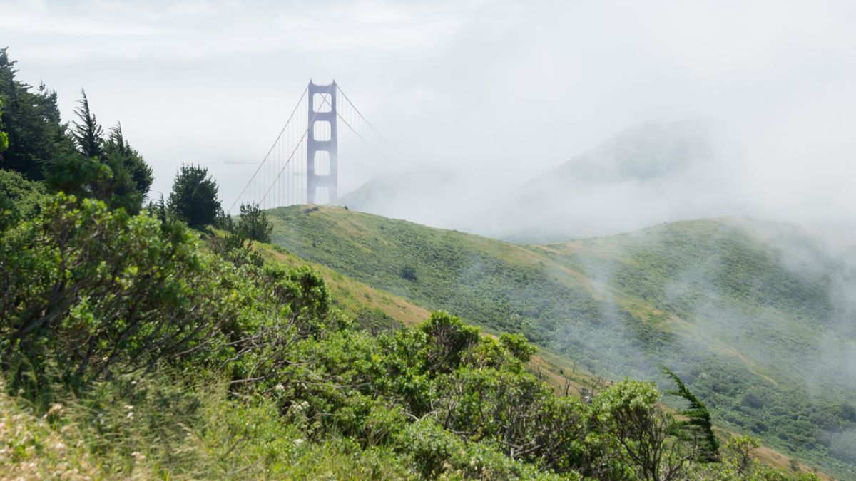 Crissy Field Environmental Education photo 5