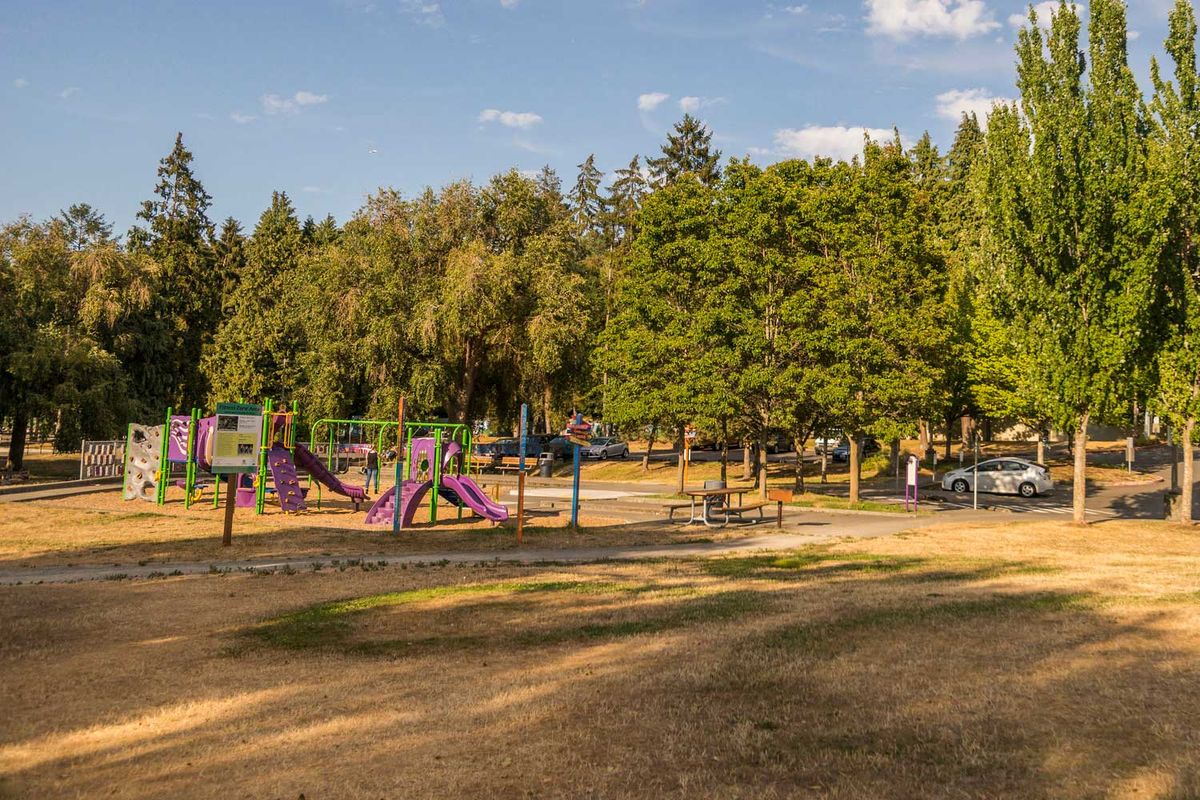 Delridge Playfield photo 3