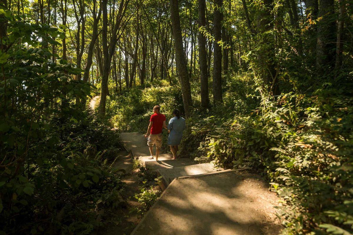 Discovery Park photo 4