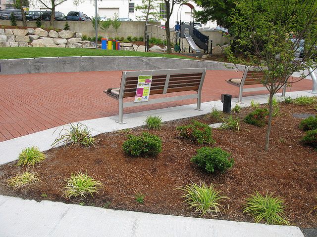 Donnie Chin International Children's Park photo 1