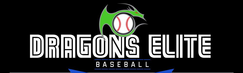 Dragon's Elite Baseball photo 1