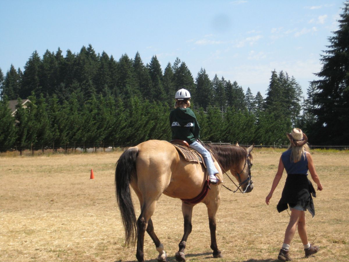 Dream Ridge Stables photo 1