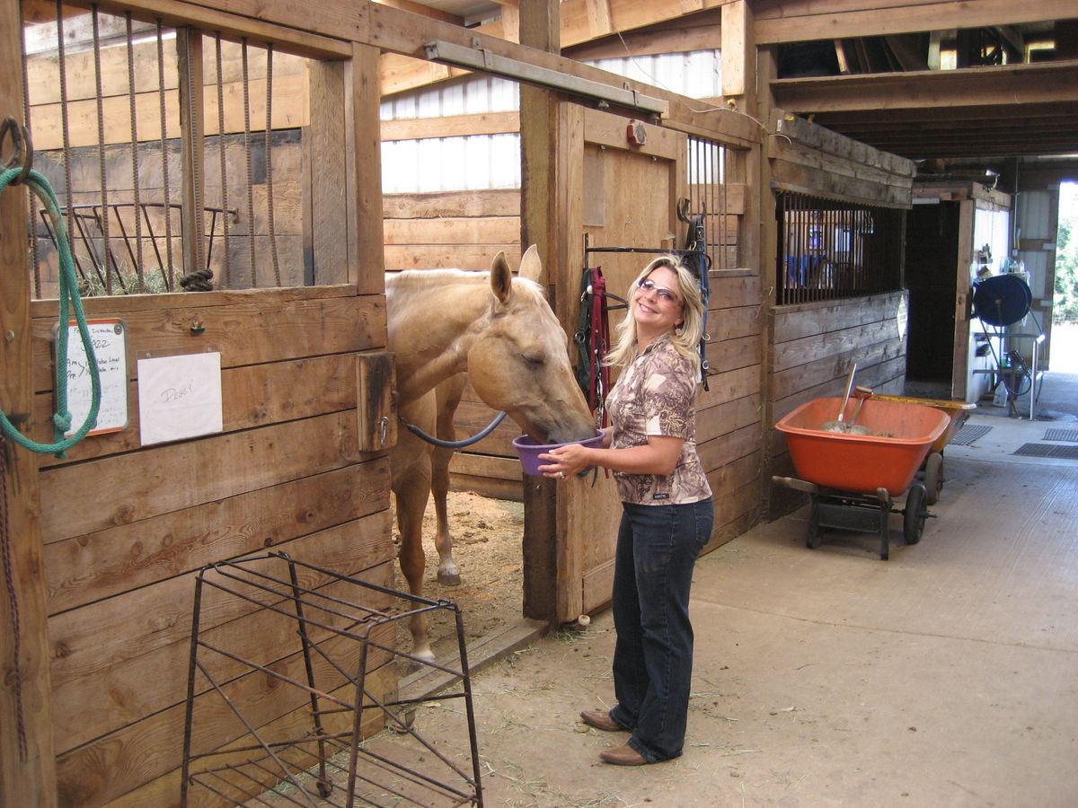 Dream Ridge Stables photo 3