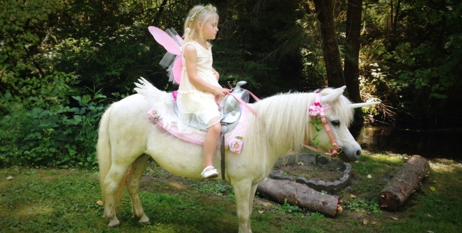Dreamland Ponies photo 3