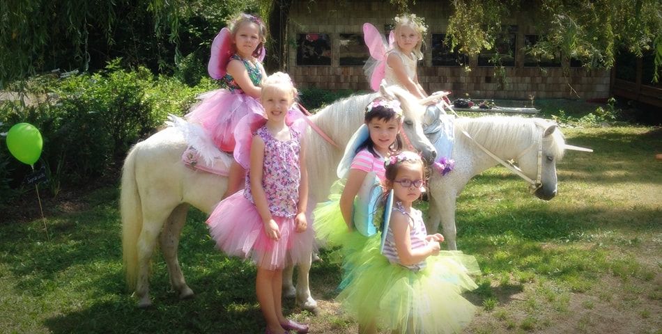 Dreamland Ponies photo 5