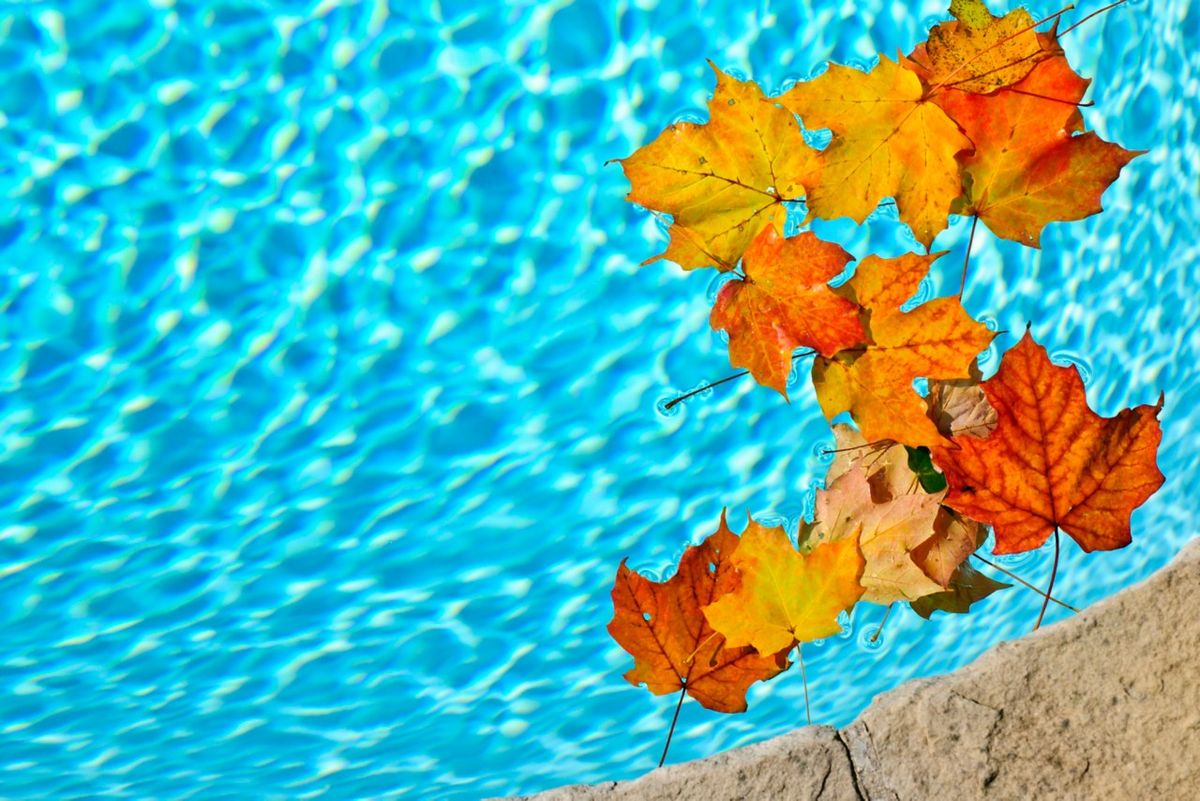 Eastside Swim School photo 1