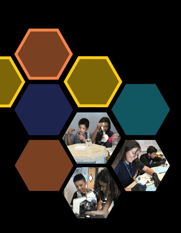 Elementary Institute-Science photo 3