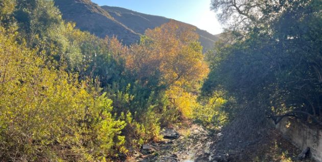 Environmental Nature Center photo 2