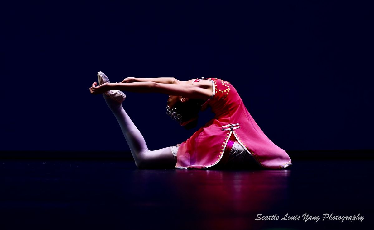 FeiTian Dancing Academy photo 3