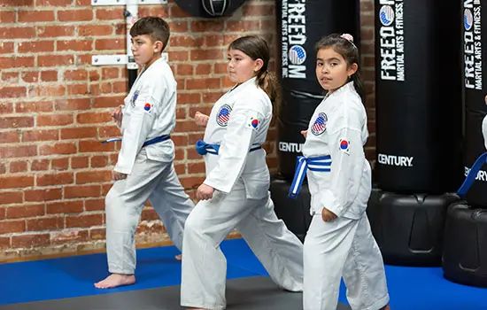Freedom Martial Arts & Fitness, Inc. photo 4