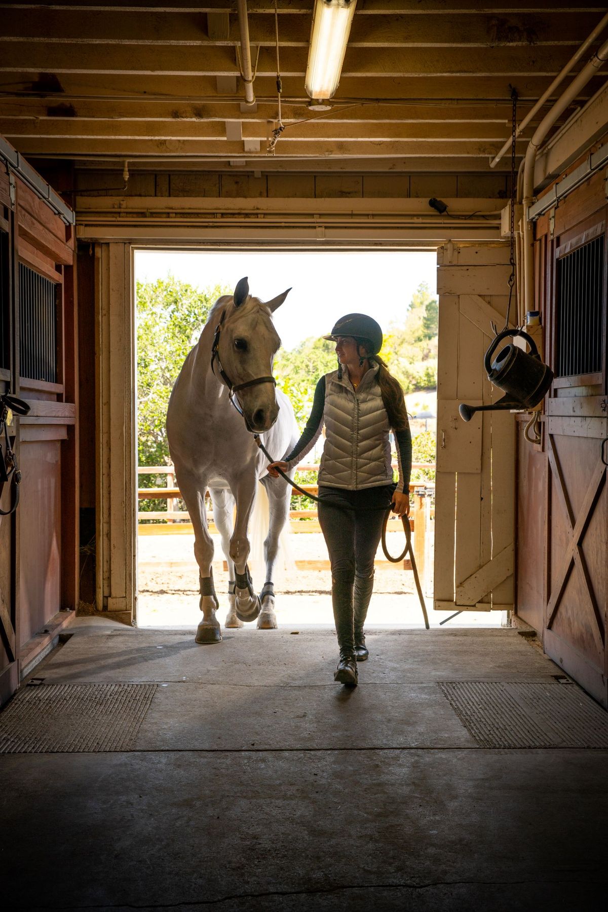 Fremont Hills Stables photo 3