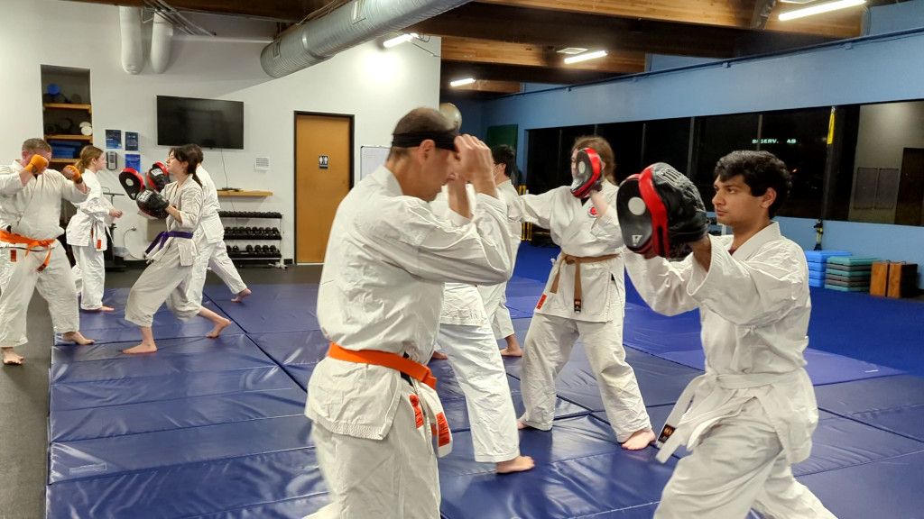 Full Potential Martial Arts Academy photo 1