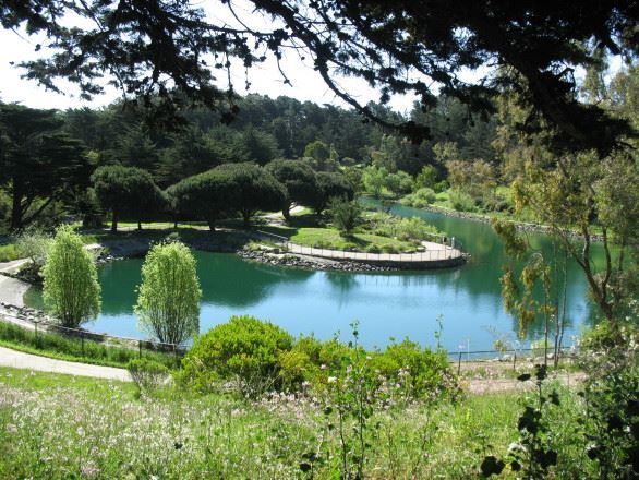 Glen Canyon Park photo 1