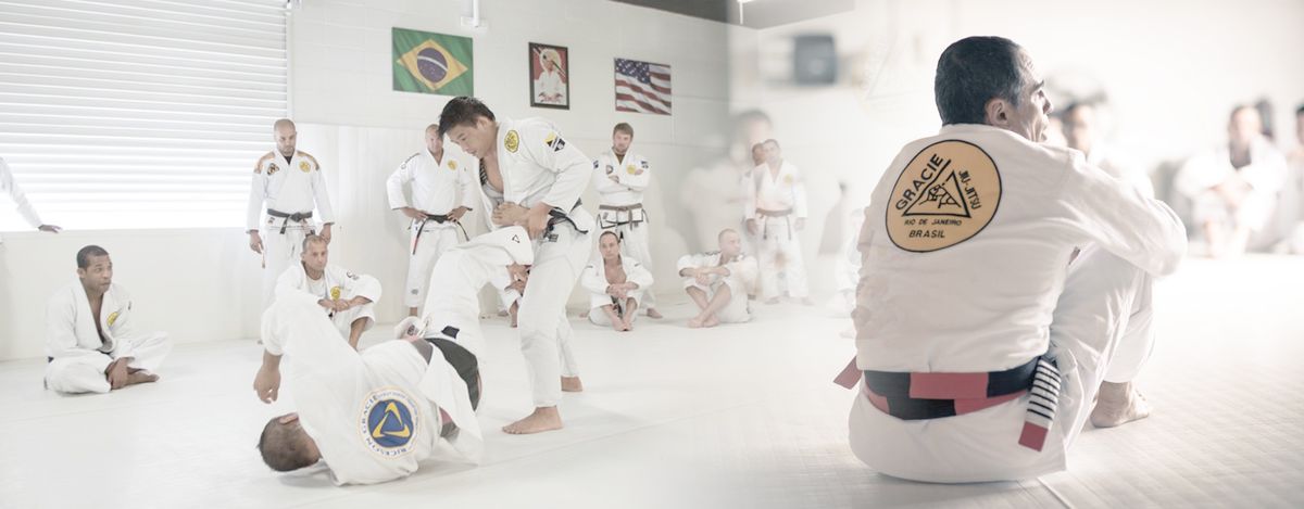 Gracie Jui Jitsu photo 1