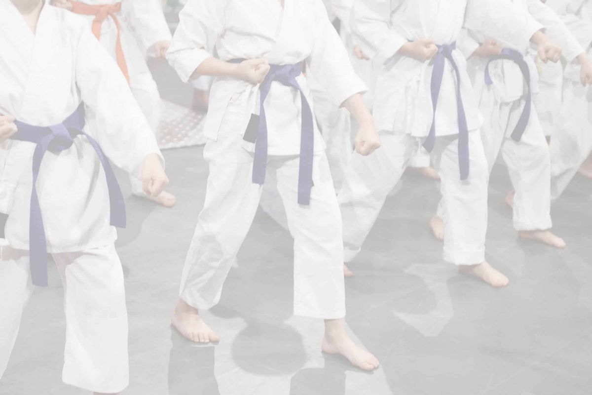 Han’s Martial Arts Academy photo 1