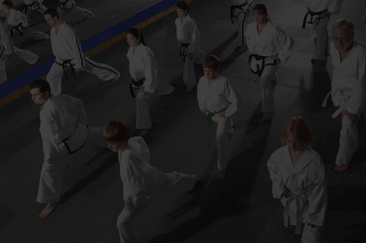 Han’s Martial Arts Academy photo 2