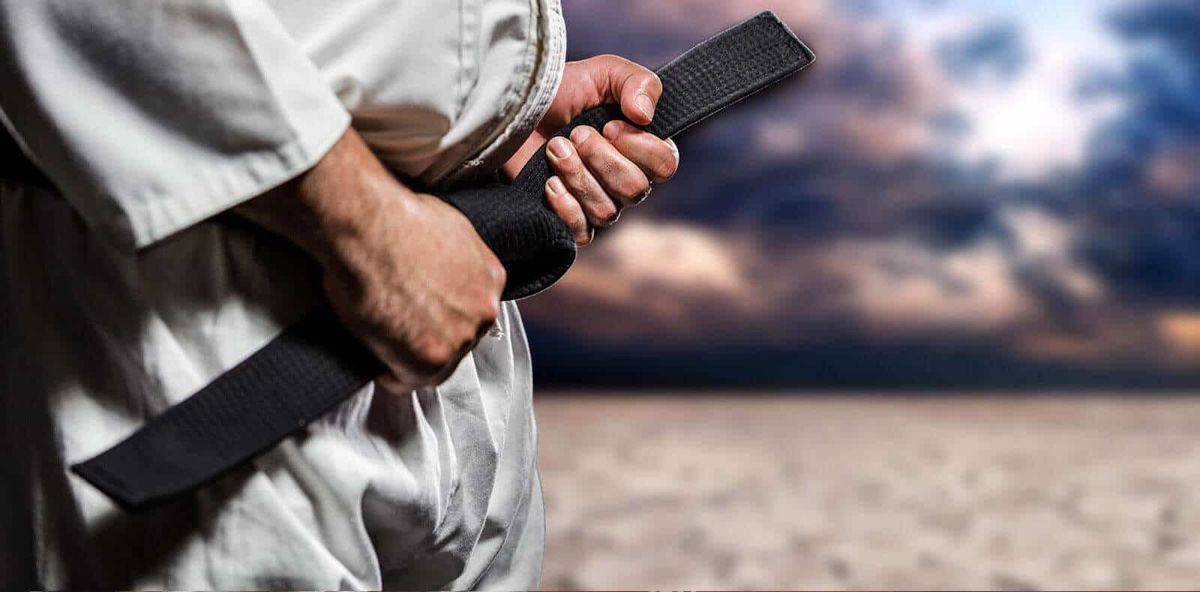 Han’s Martial Arts Academy photo 3
