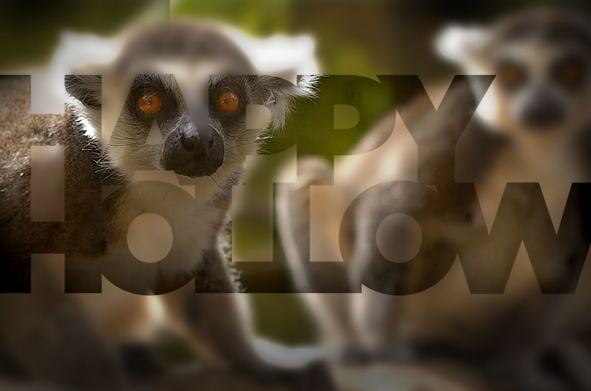 Happy Hollow Park & Zoo photo 1