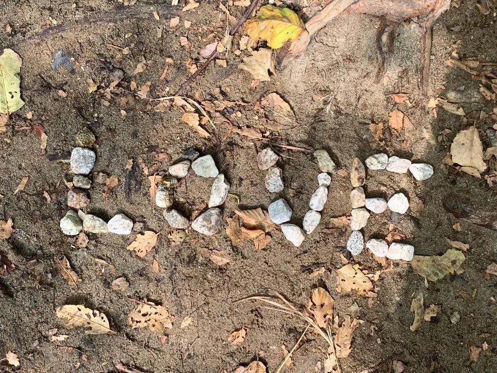 Heart Rock Forest School photo 4
