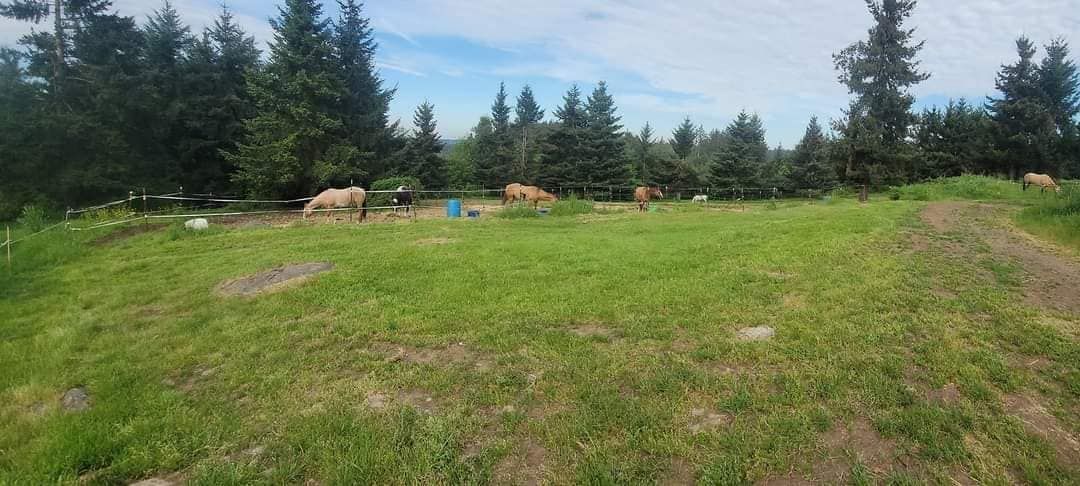 Holcomb Hills Equestrian photo 1