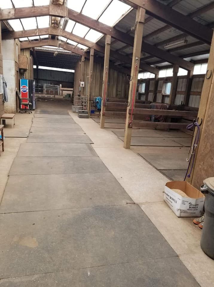 Holcomb Hills Equestrian photo 2